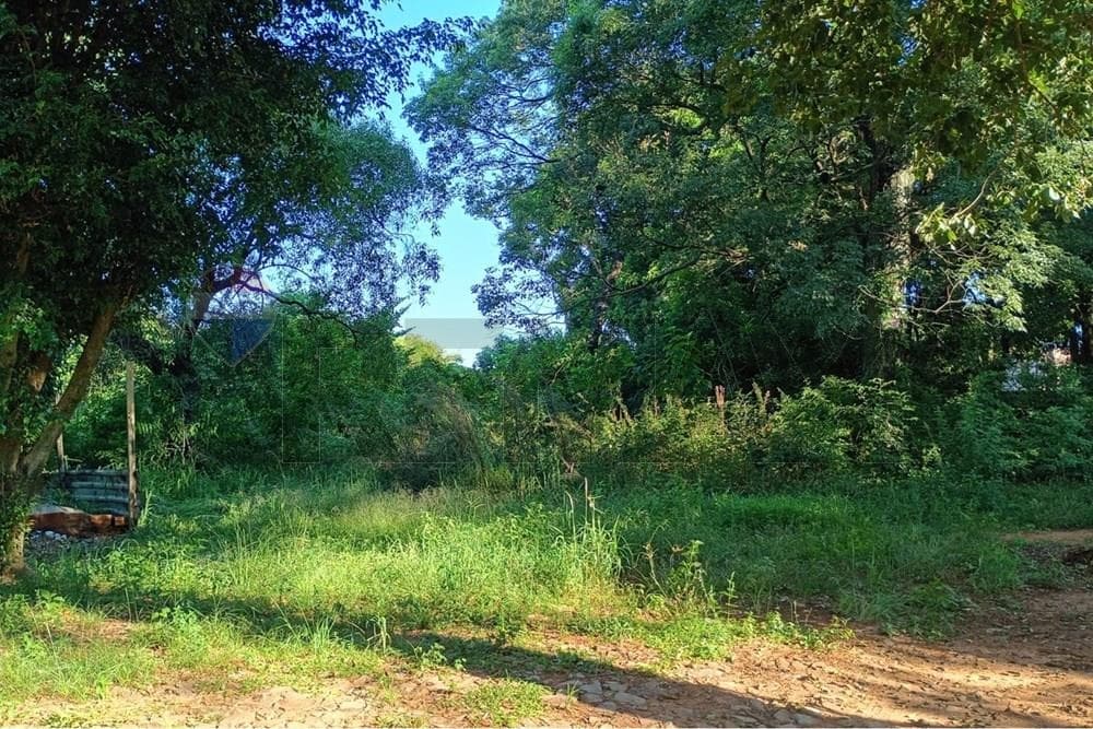 Oferta de terreno en Luque - isla bogado, foto 4