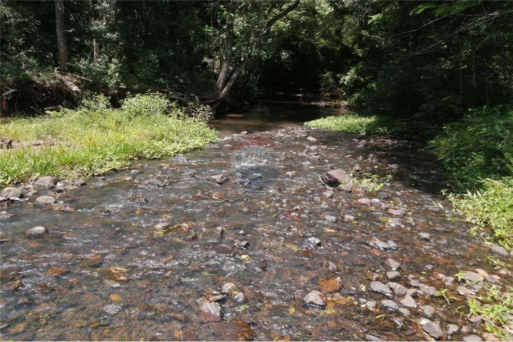 Campo zona cambyreta centro, foto 4