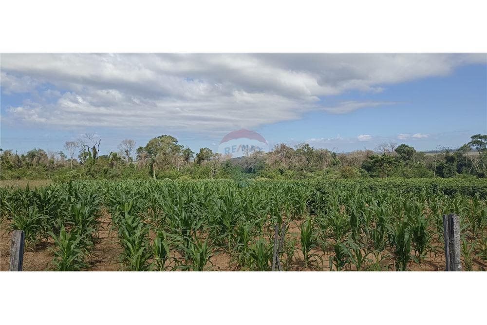 En venta Terreno de 70 hectáreas En Paraguarí a 500 metros del Río Tebicuary, foto 1