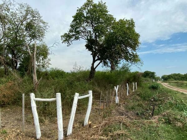 Terreno en venta | nueva Asunción – sobre ruta defensores del chaco, foto 2