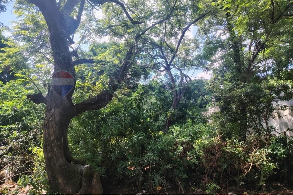 Terreno estratégico en venta, San Lorenzo, 420 m², foto 5