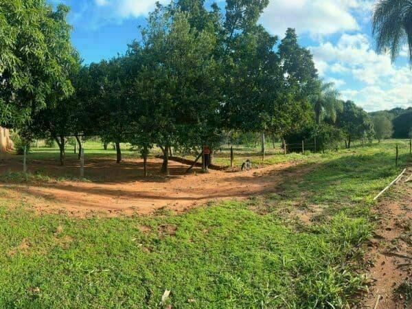 Terreno en itaugua km 28, foto 3