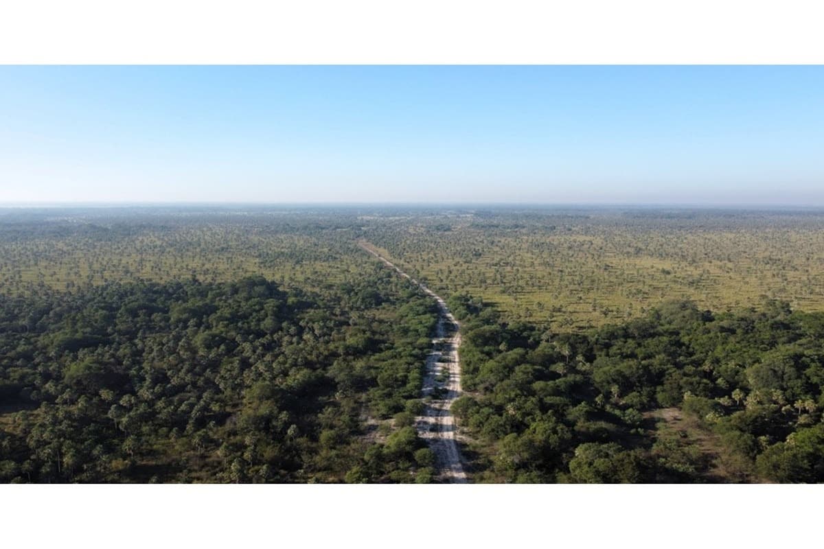 Estancia ganadera en venta benjamín aceval, chaco, foto 3
