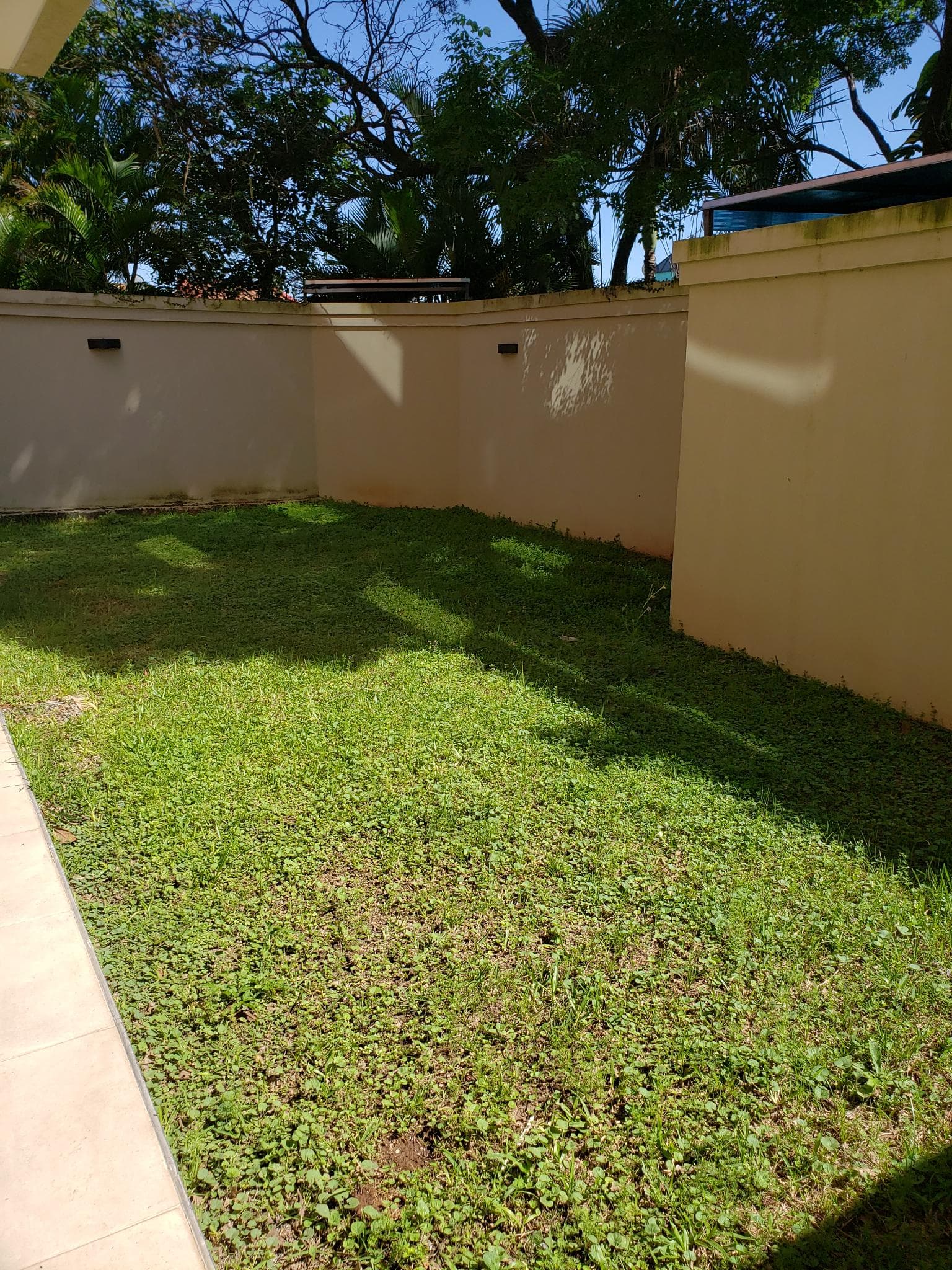 Hermoso y amplio departamento con área de servicio y patio ! — foto 4