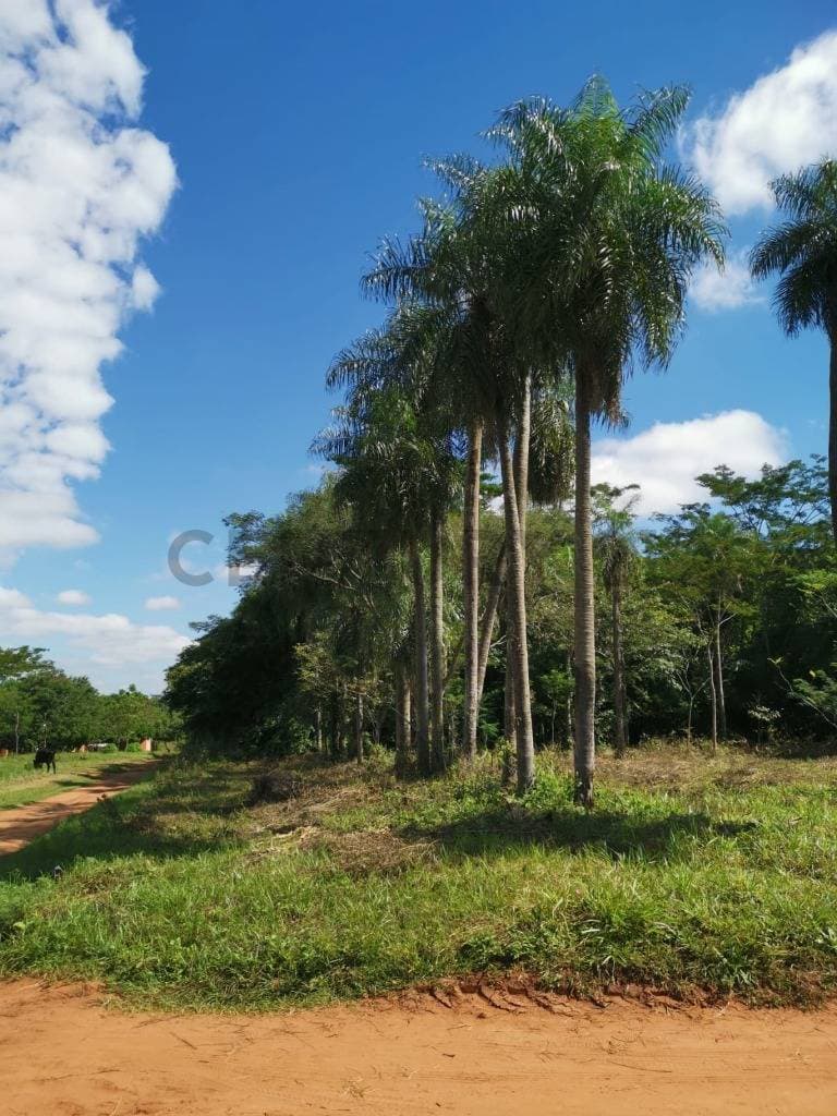 Amplio terreno en esquina atras del hospital nacional de itaugua, foto 1