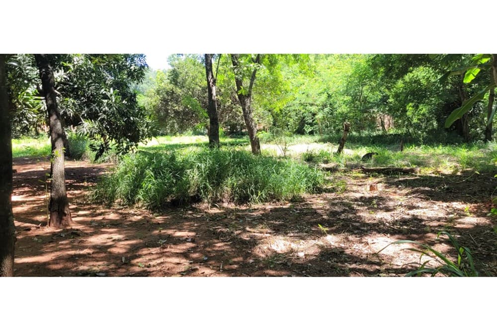 Terreno-Venta-29 de Setiembre y Jacaranda, San Antonio, Central, foto 2