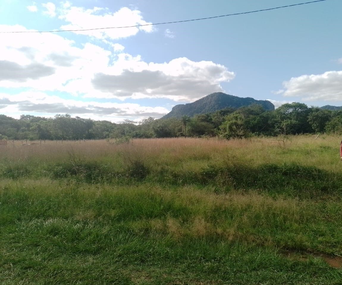 En venta hermoso terreno — foto 5