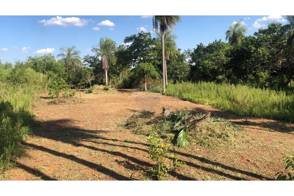 En venta hermoso terreno — foto 2