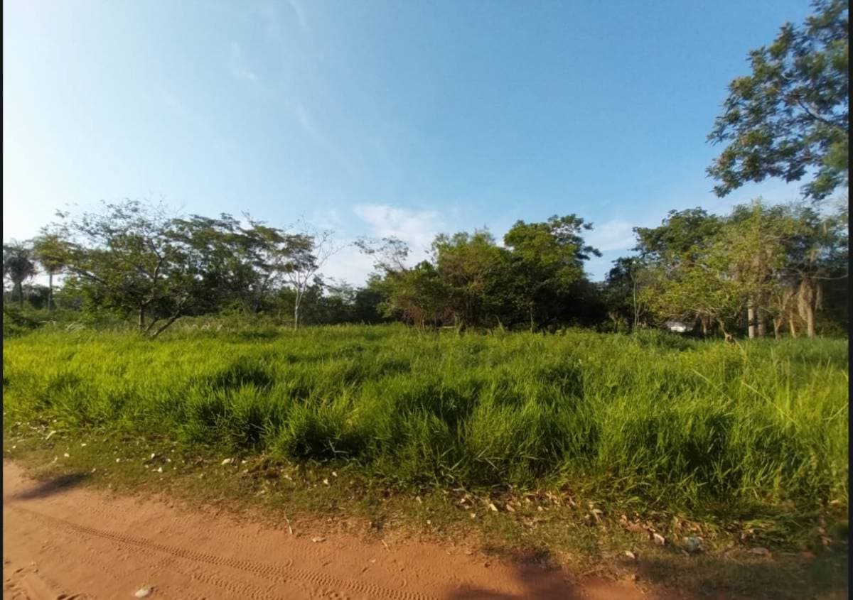 Terreno economico capiata