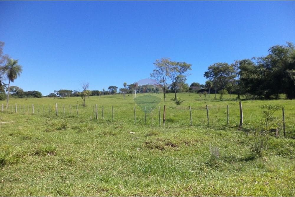 Estancia/Campo - Venta - Isla Pucú, Cordillera, Paraguay — foto 5