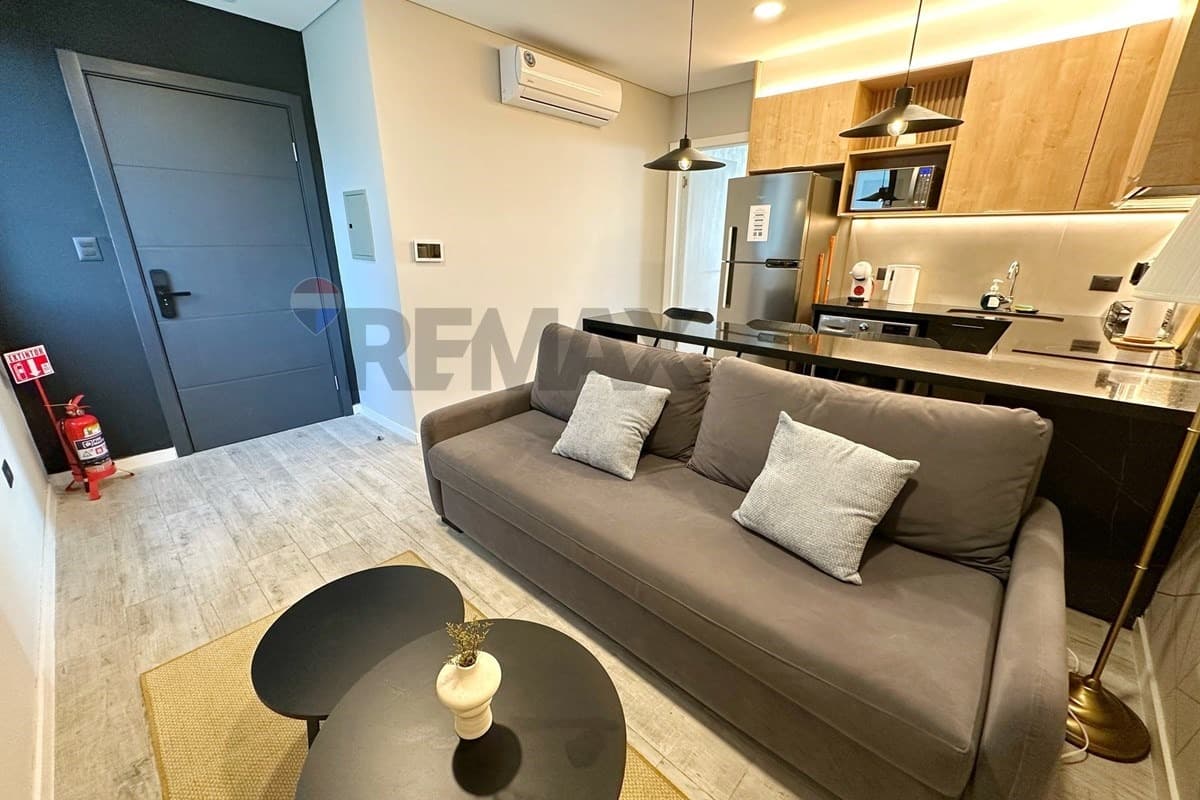 departamento 1 dormitorio amoblado en Las Lomas, foto 4