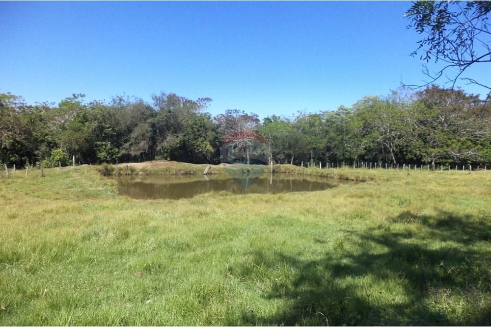 Estancia Ganadera de 65 Hectáreas es Isla Pucu, foto 2