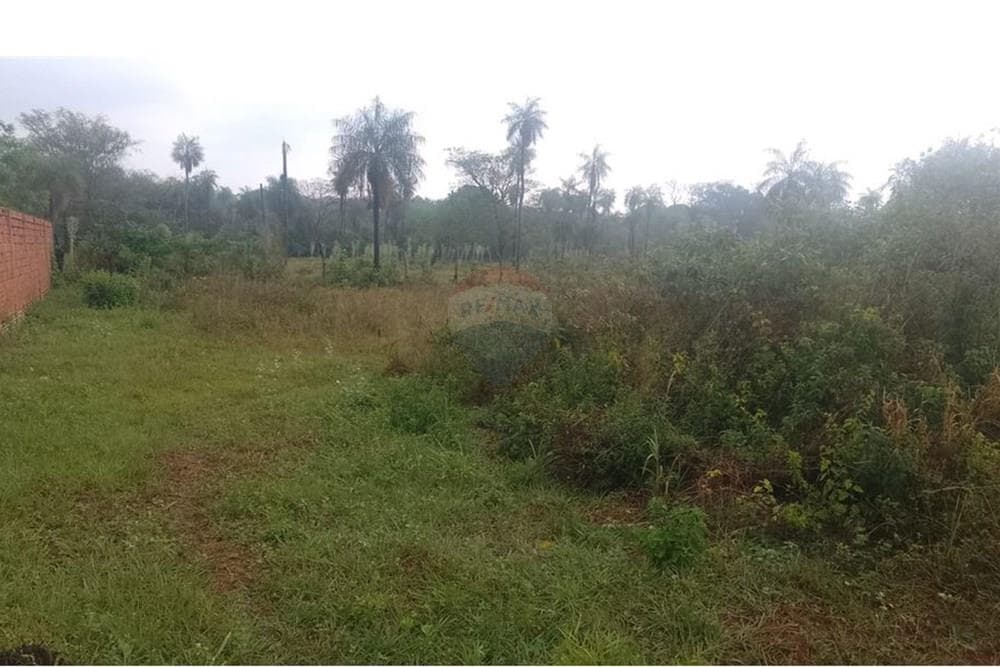 ¡Terreno Ideal en Capiatá, 517m² Espera por Ti!, foto 3