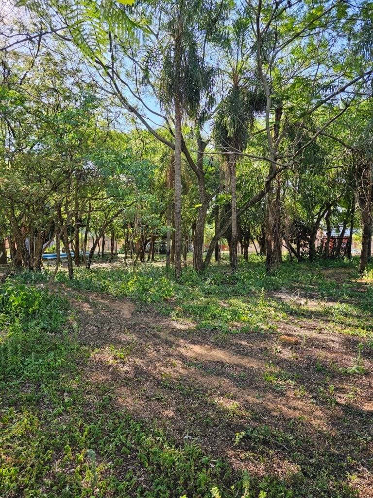 San Bernardino en venta terreno arbolado en excelente ubicación — foto 4