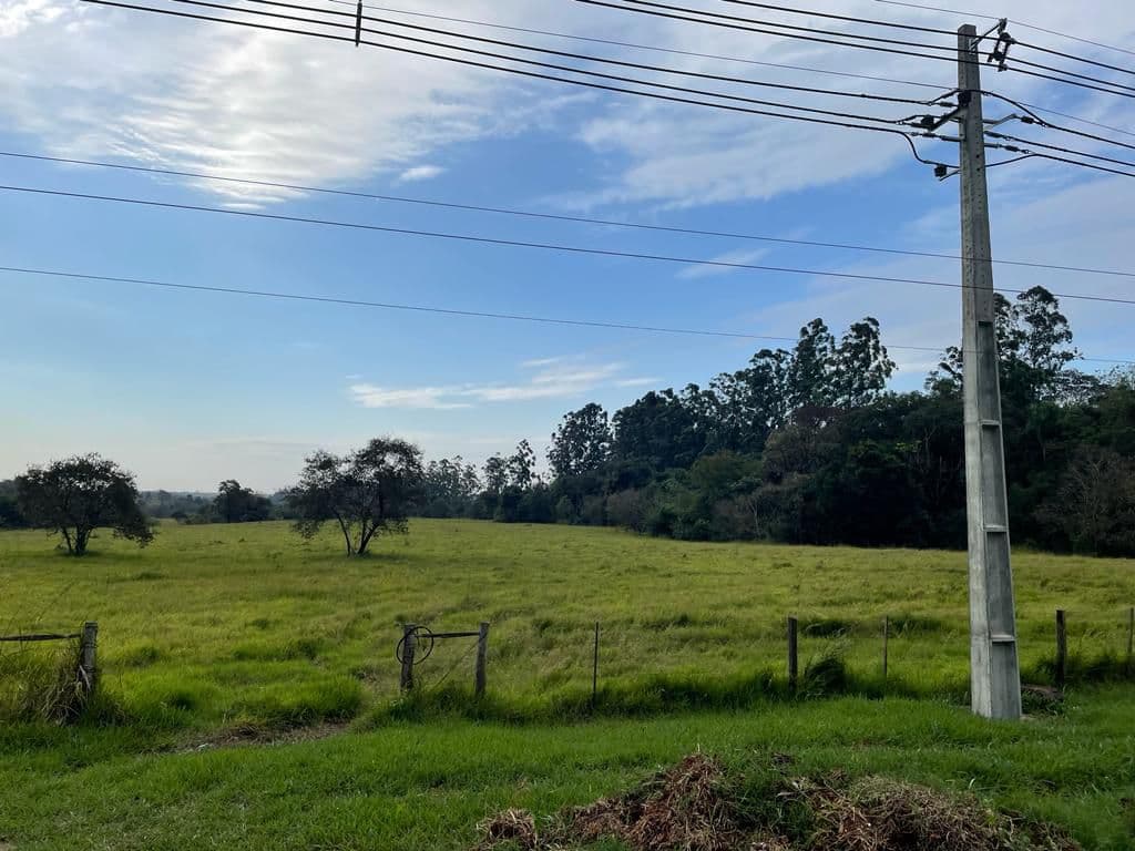 19,4 hectáreas en Minga Guazu a 200 metros sobre ruta 2, foto 3