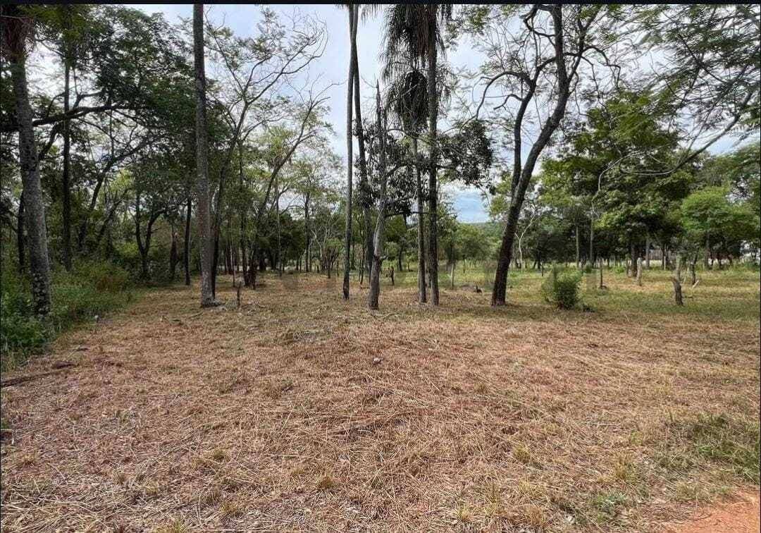 En venta amplio terreno en San Bernardino zona ciervo cua, foto 2