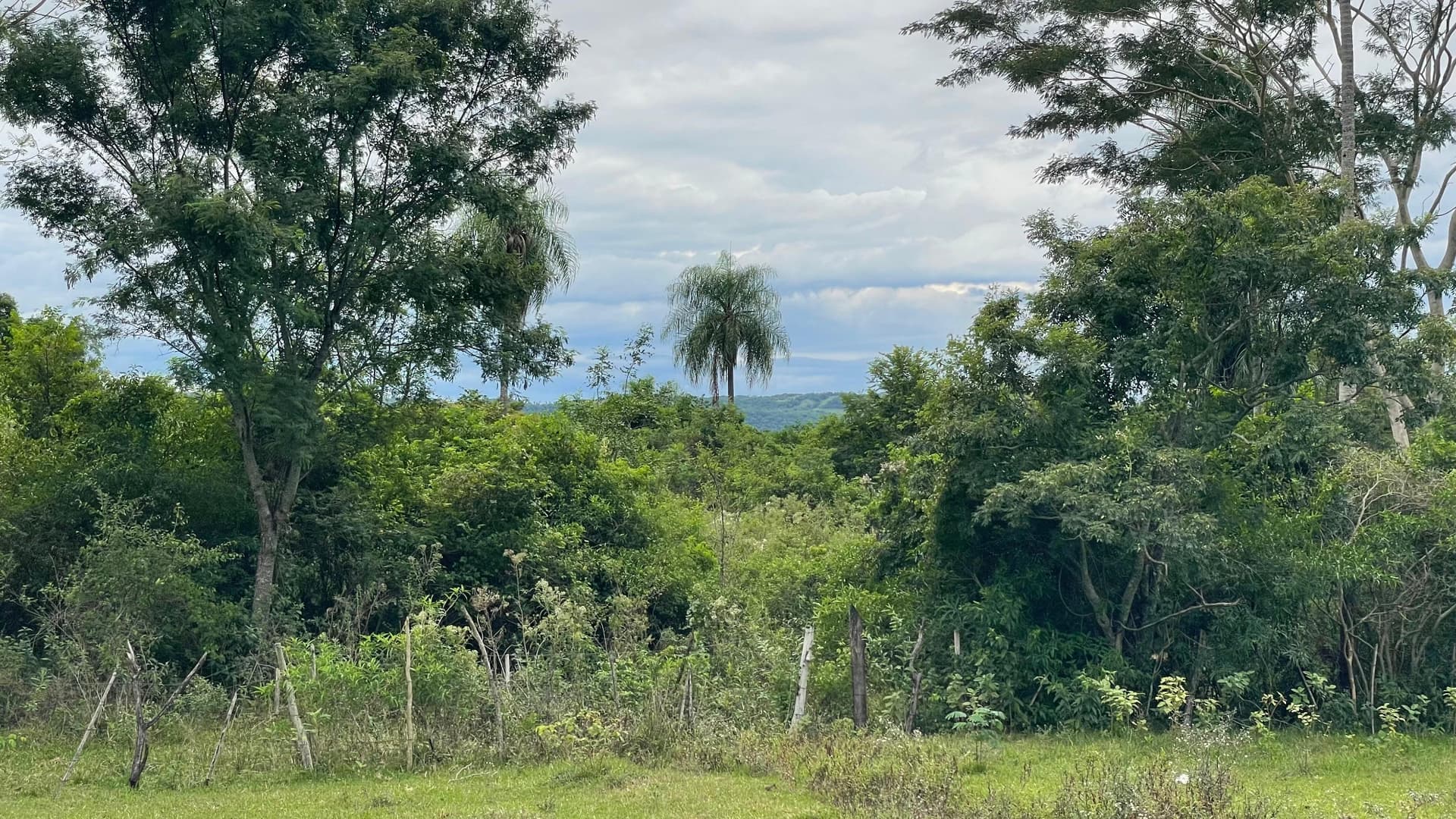 12,9 hectáreas en Sapucai Hermosas vistas, foto 5