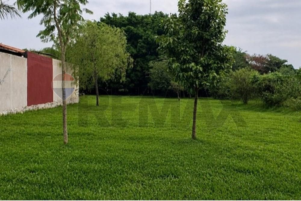 Vendo dos terrenos juntos en Luque - ycua dure