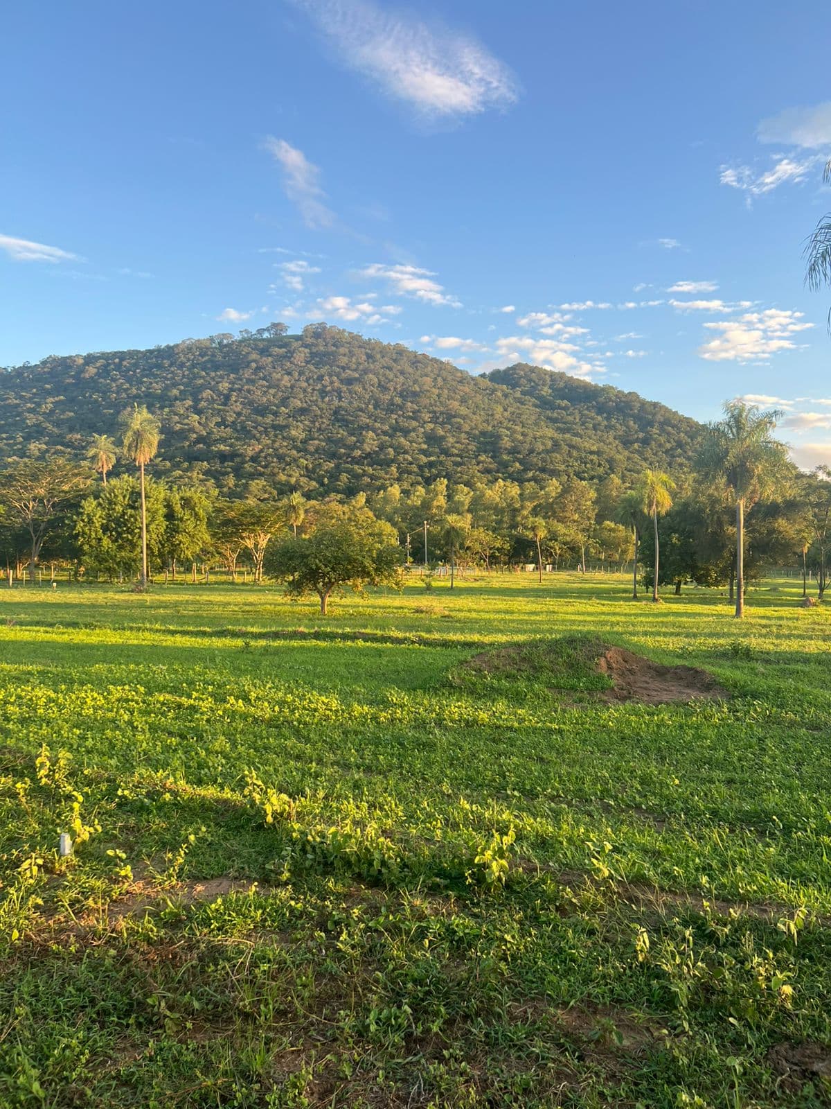 Terrenos en paraguari con vista al cerro hu — foto 3