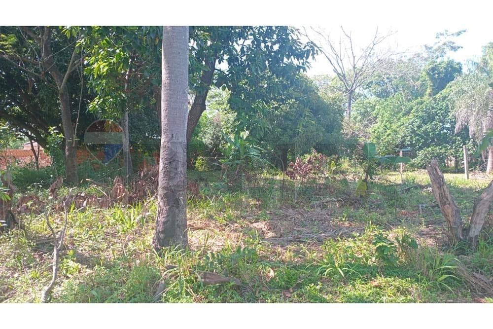 Terreno - Venta - Ñemby, Paraguay, invierte y planifica!, foto 5