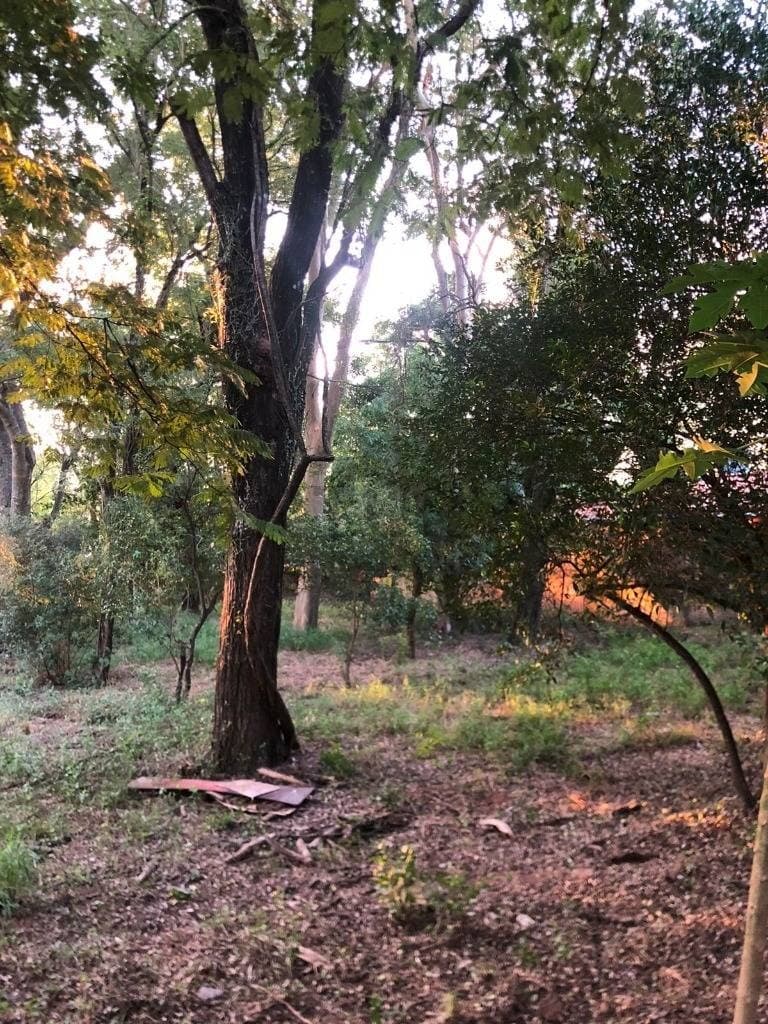 En venta terreno en zona estrategica de Asunción, foto 4