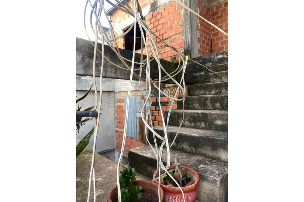 Terreno - Venta - Paraguay Asunción Sajonia, foto 5