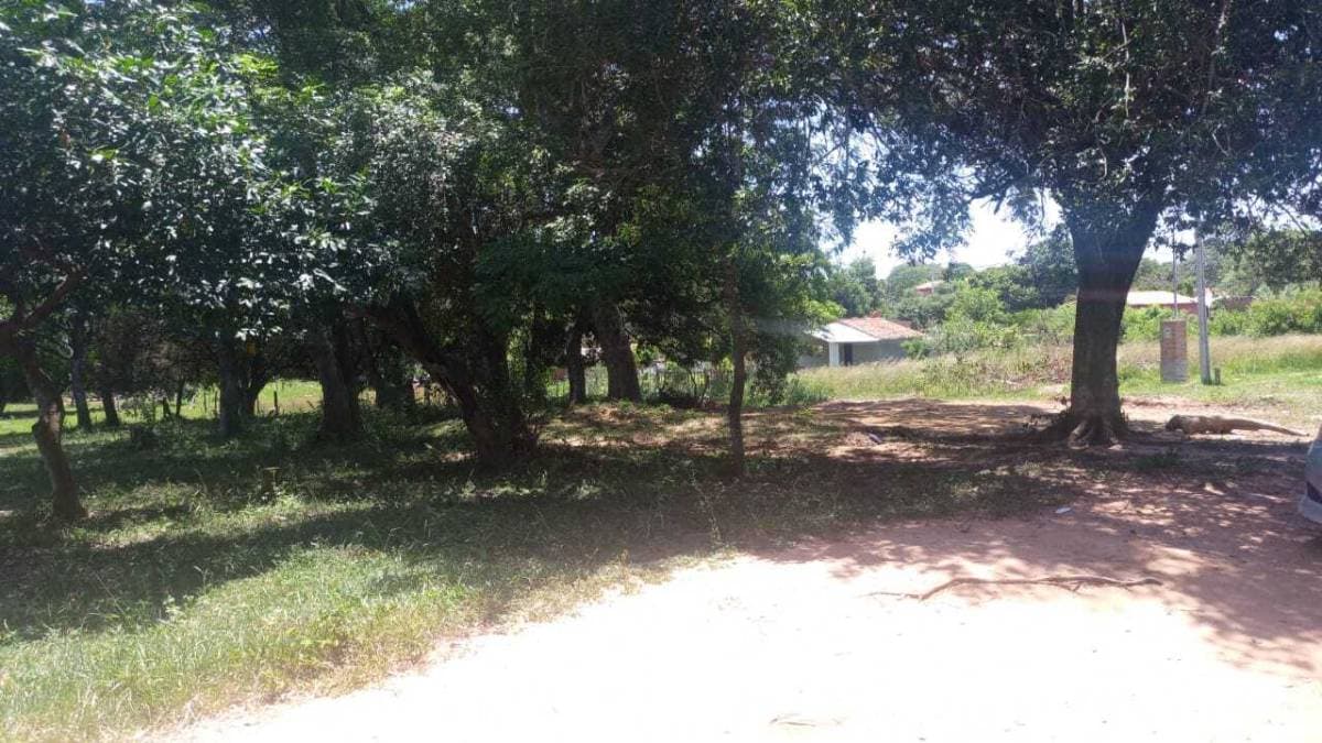 Terreno en Luque — foto 2