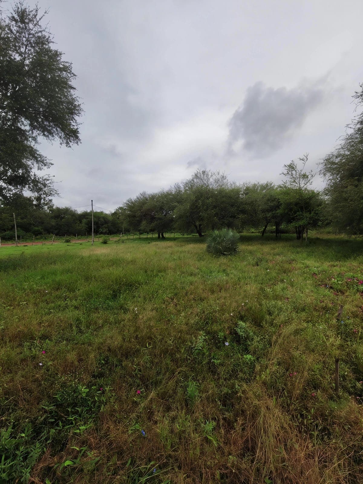 Terrenos en nueva asuncion, foto 2