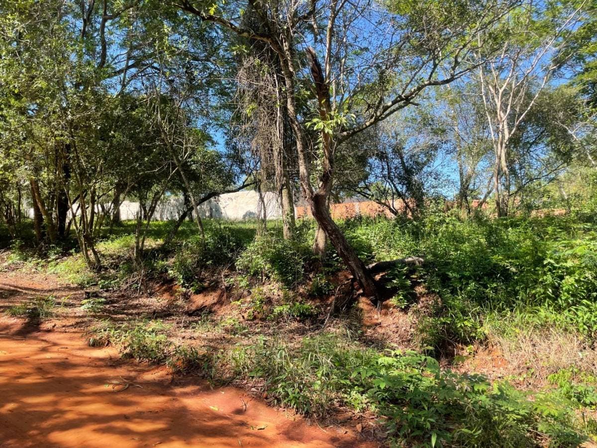 Vendo super terreno en cañada garay Luque