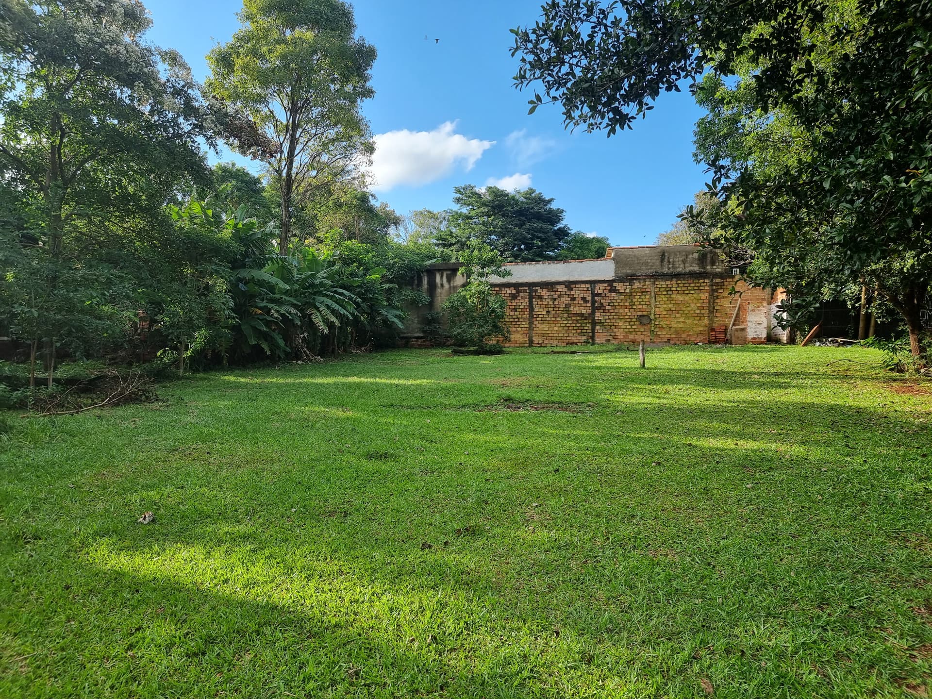 .vendo 4.336m2 a 1 cuadra de la avda benitez gamarra, barrio san alfredo!!, foto 4