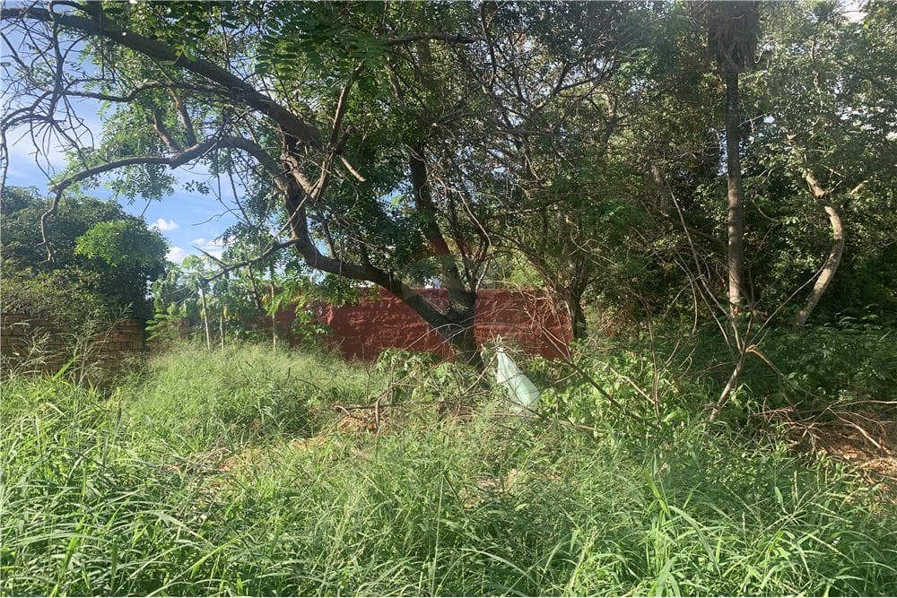 terreno en San Lorenzo, lugar denominado "Laurelty", foto 5
