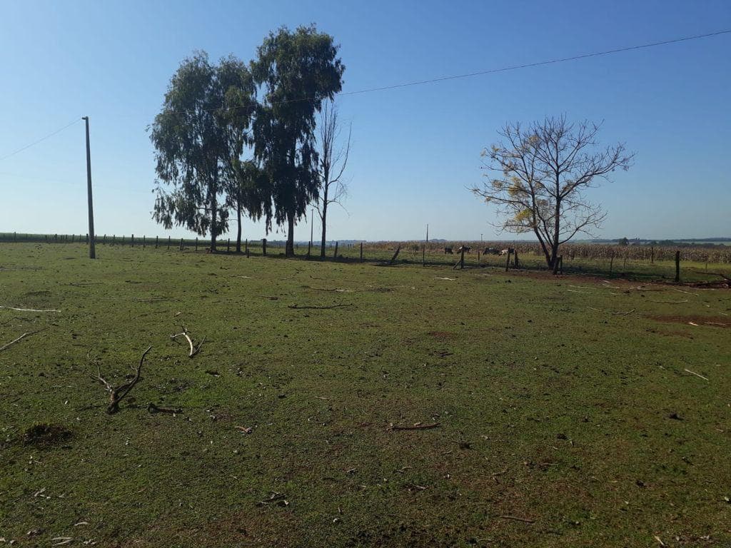Granja en el centro de Santa Rita en super oferta, foto 3