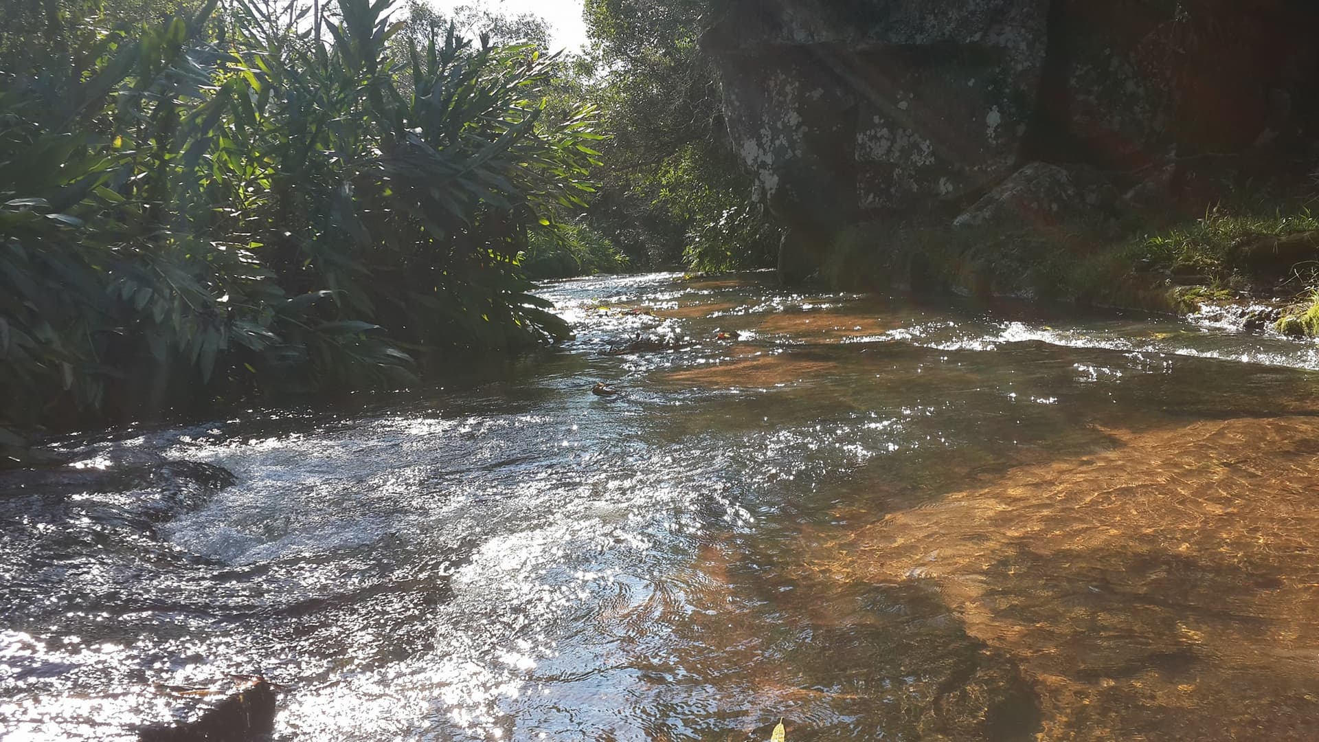Vendo Propiedad De Imponentes Recursos Naturales En Dto De Coordillera De 232 Ha