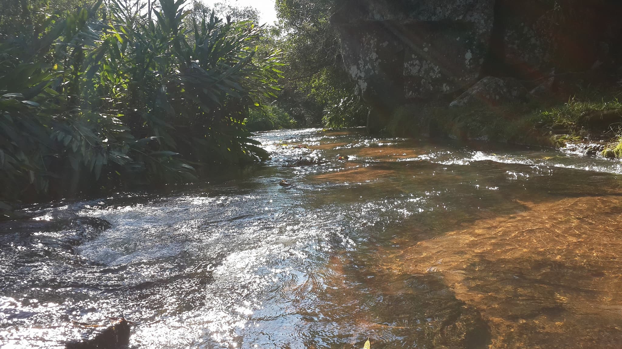 Propiedad De Imponentes Recursos Naturales En Dto De Coordillera De 232 Ha — foto 1