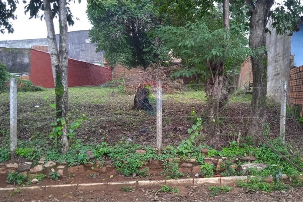 Terreno - Venta - Villa Elisa, Paraguay, foto 2