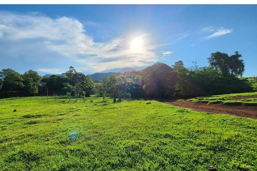 Venta Independencia Finca Agrícola