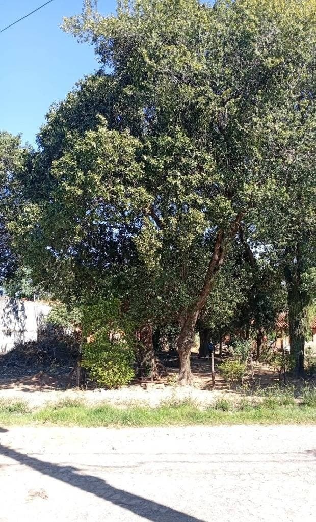 Terreno de 506m2 en barrio central - Mariano Roque Alonso, foto 3