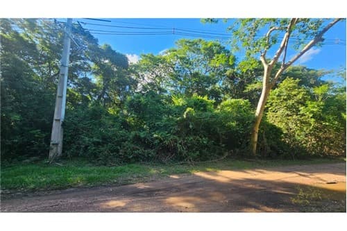 Terreno-Venta-Zona Cristóbal Colón, San Bernardino, Cordillera, foto 3