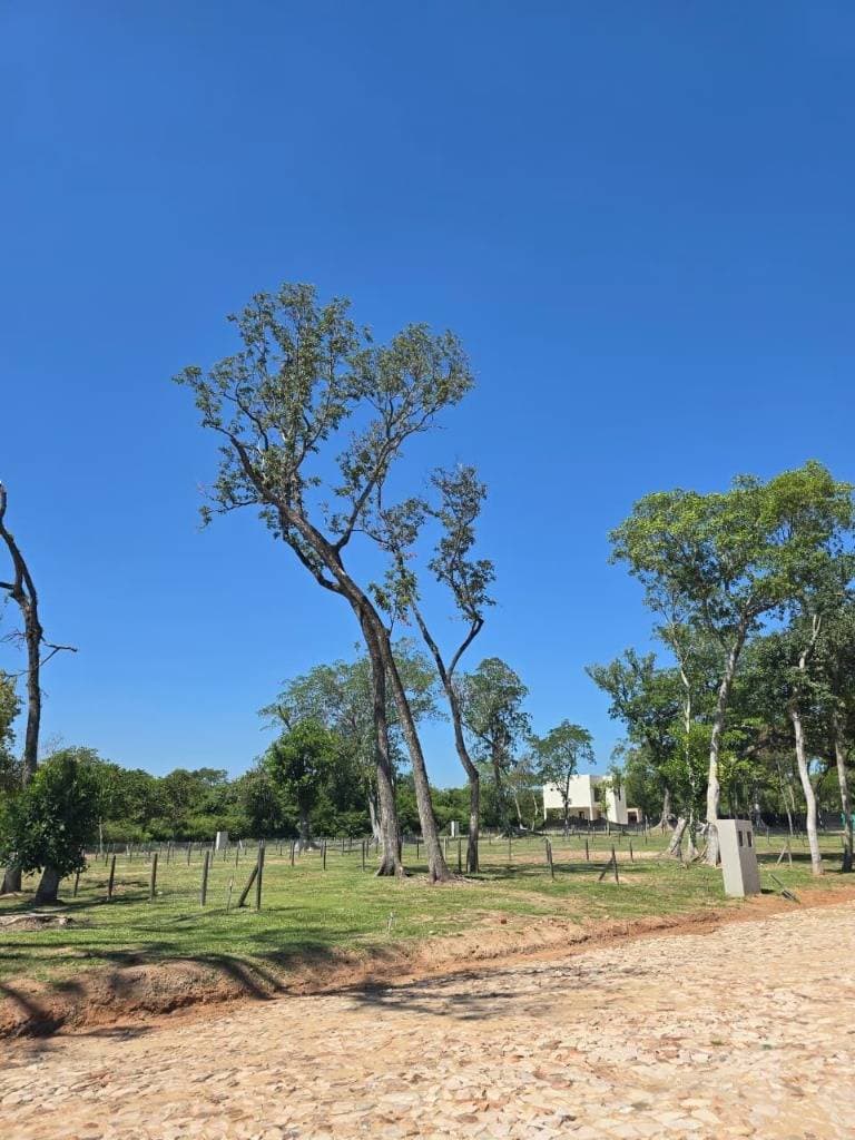 Terrenos a cuotas - aregua forest, foto 3