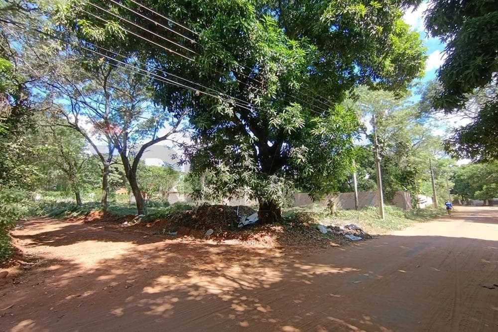 Vendo terreno en esquina sobre asfalto - capiata