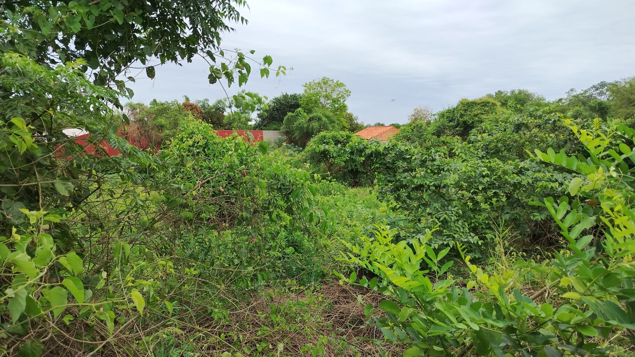 Terreno en venta en aregua (villa rosita), foto 5