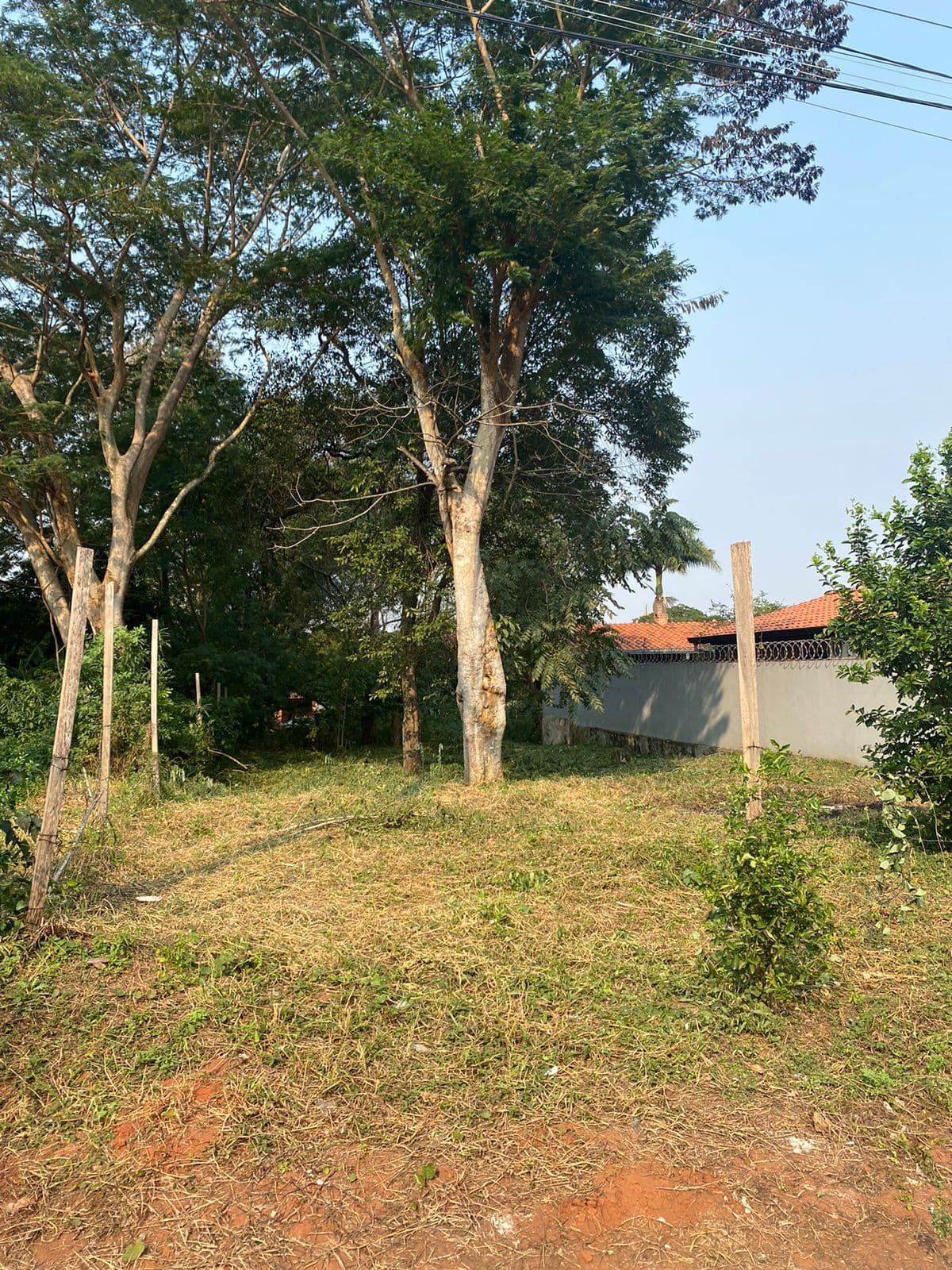 Terreno en San Lorenzo, foto 3
