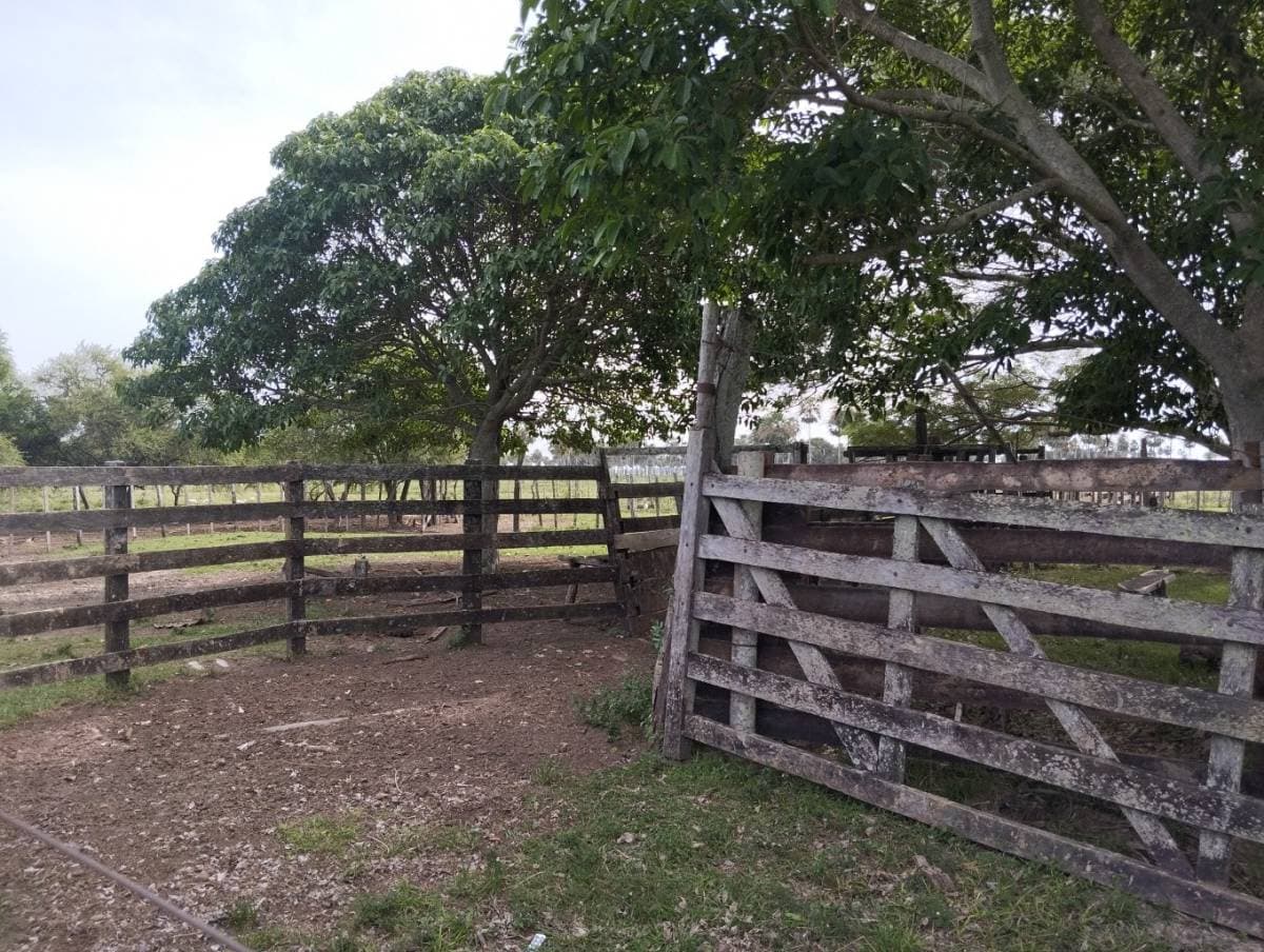Oportunidad - Gran Propiedad Rural en Tacuaras – Ñeembucú, foto 4