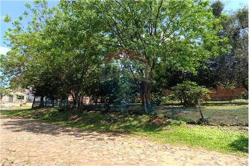 Terreno en venta Villa Elisa zona colonia elisa, foto 5