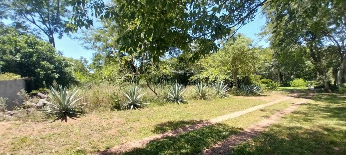 Terreno en condominio privado costa alta Villa Elisa, foto 3