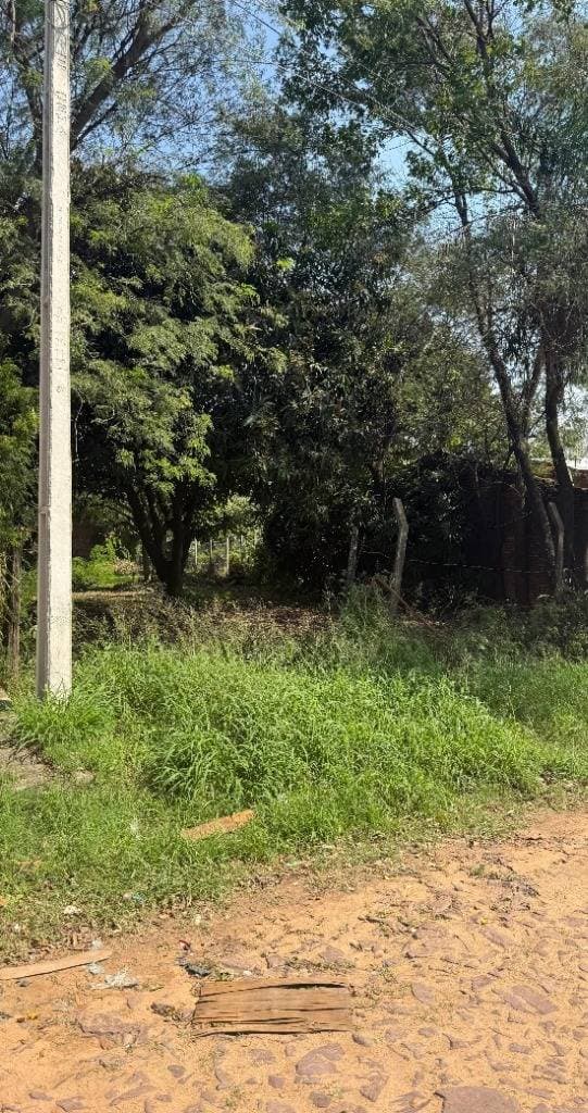 TERRENO EN Luque (Entrada al Barrio Palma Loma), foto 3