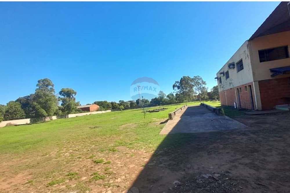 Terreno de 12.466 m2 en Luque, Zona Laurelty, foto 5
