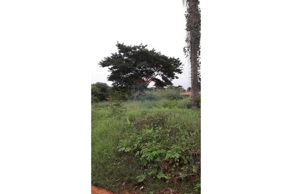 Terreno - Venta - Paraguay Central San Lorenzo, foto 2