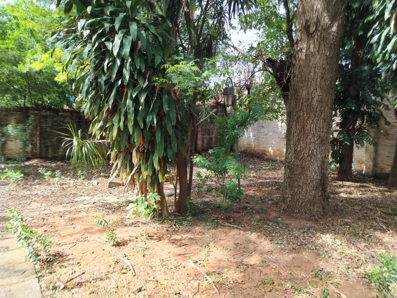En Venta - Terreno Estratégico Sobre Malutín En Barrio Villa Morra — foto 4