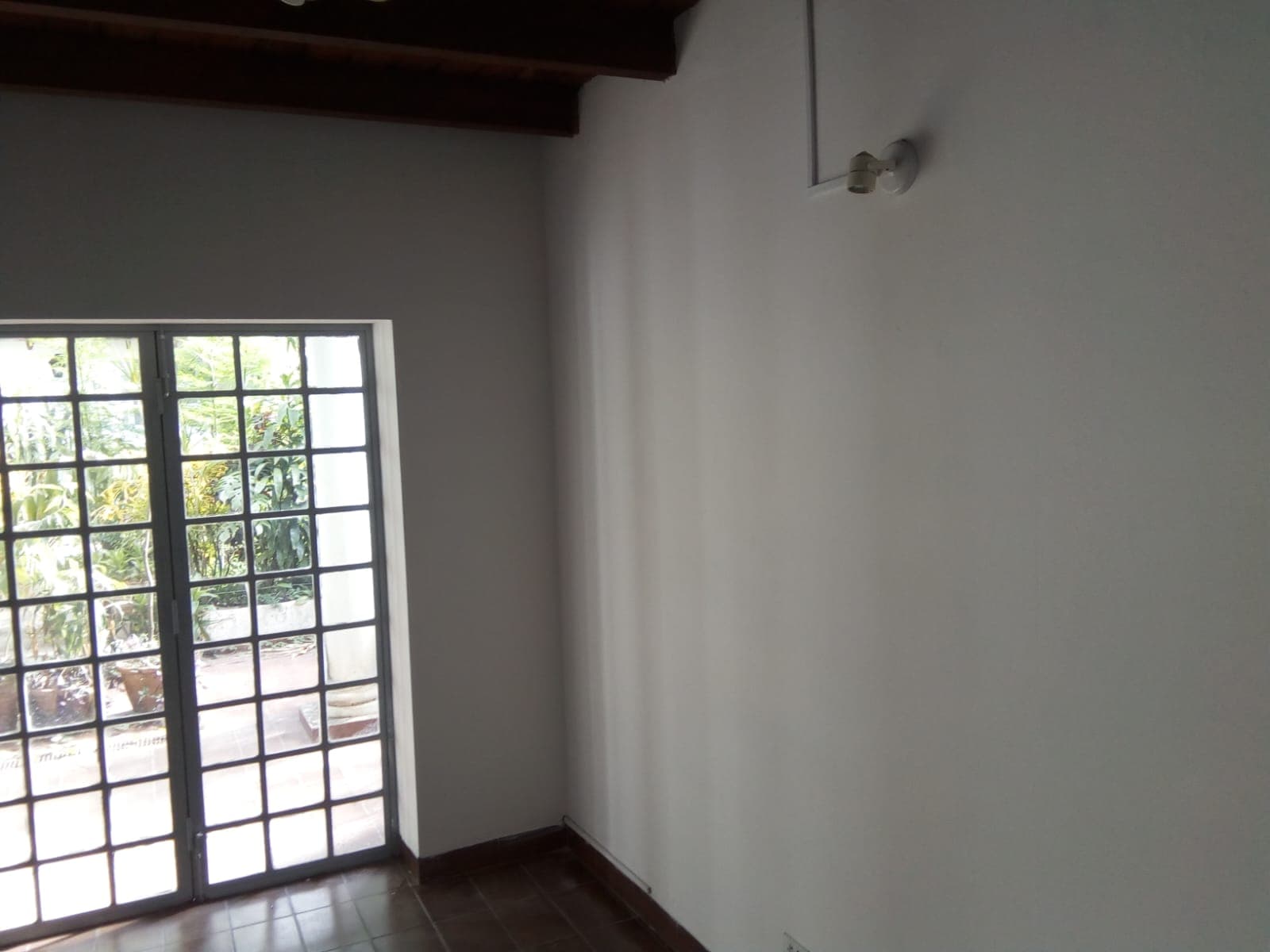 Casa Sobre Bertoni Terreno — foto 5